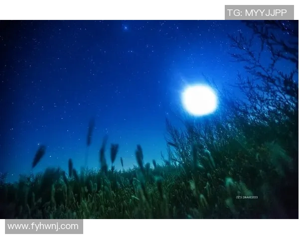 足球精灵的奇幻旅程：从草地到星空的梦想与追逐